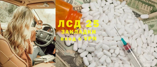 прущие грибы Кострома